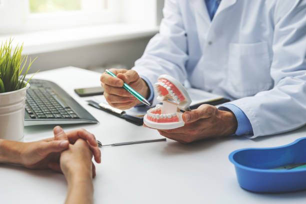Professional Holistic Dental Care Services in Sheldon, IL